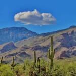 Tuscon